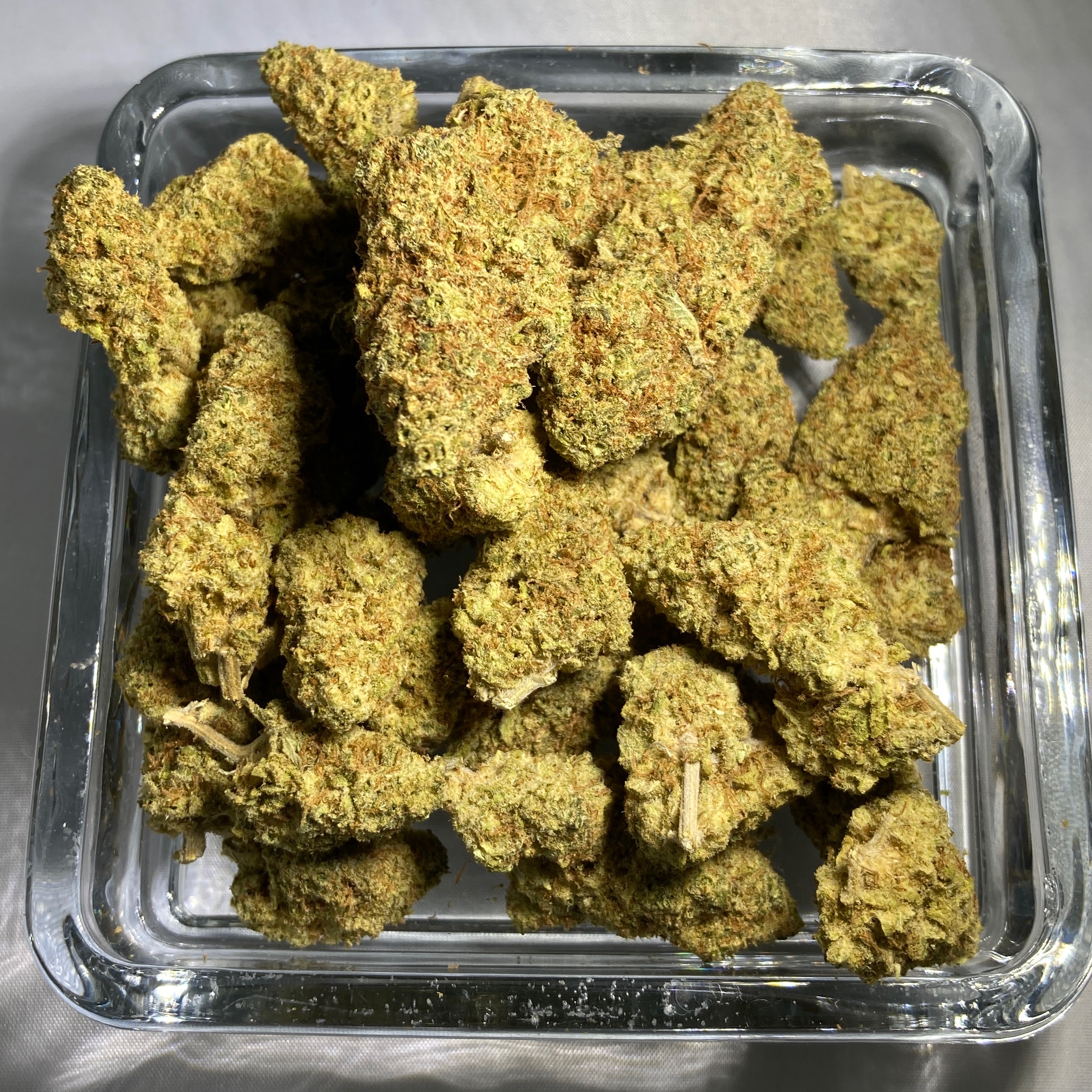 Strawberry Banana - Hybrid - Gold Tier Flower
